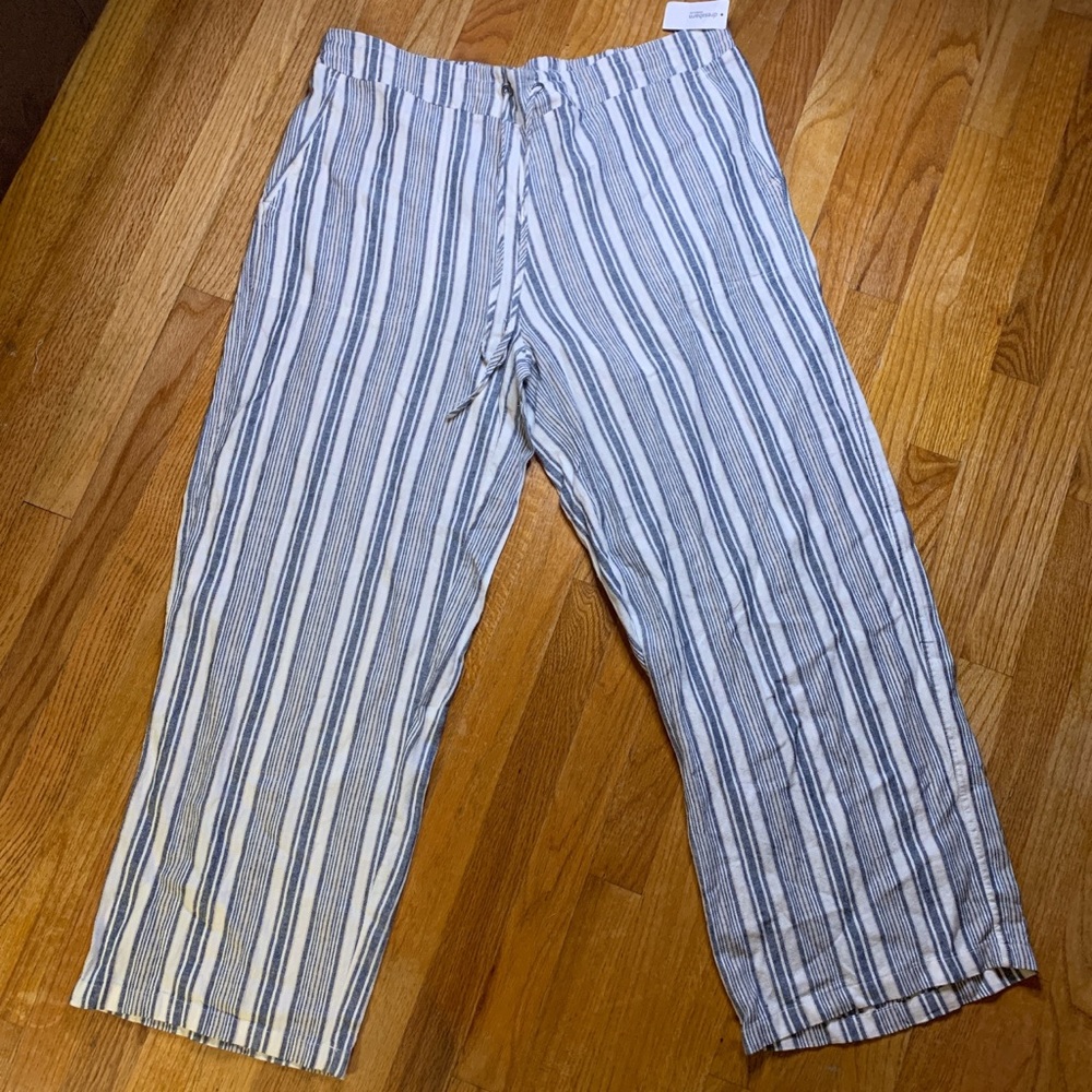 Plus Size Westport Linen blend, striped pants